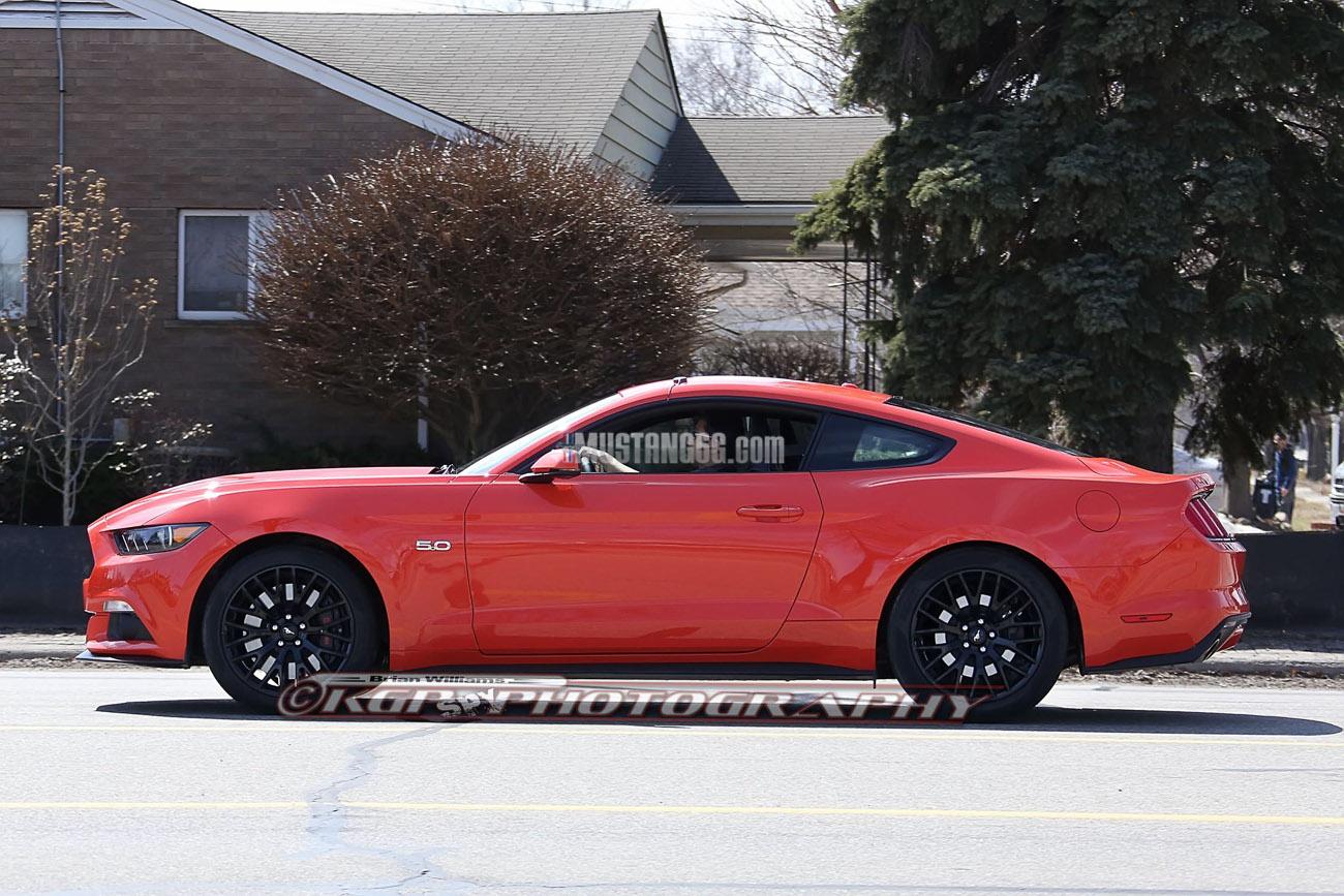 Stang.CompOrange.b03.KGP.ed-3154741694-O.jpg