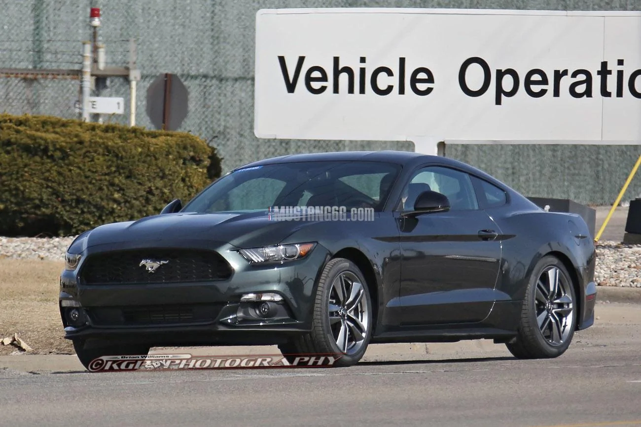 Stang.GuardGrn.b01.KGP.ed-3154741162-O.webp
