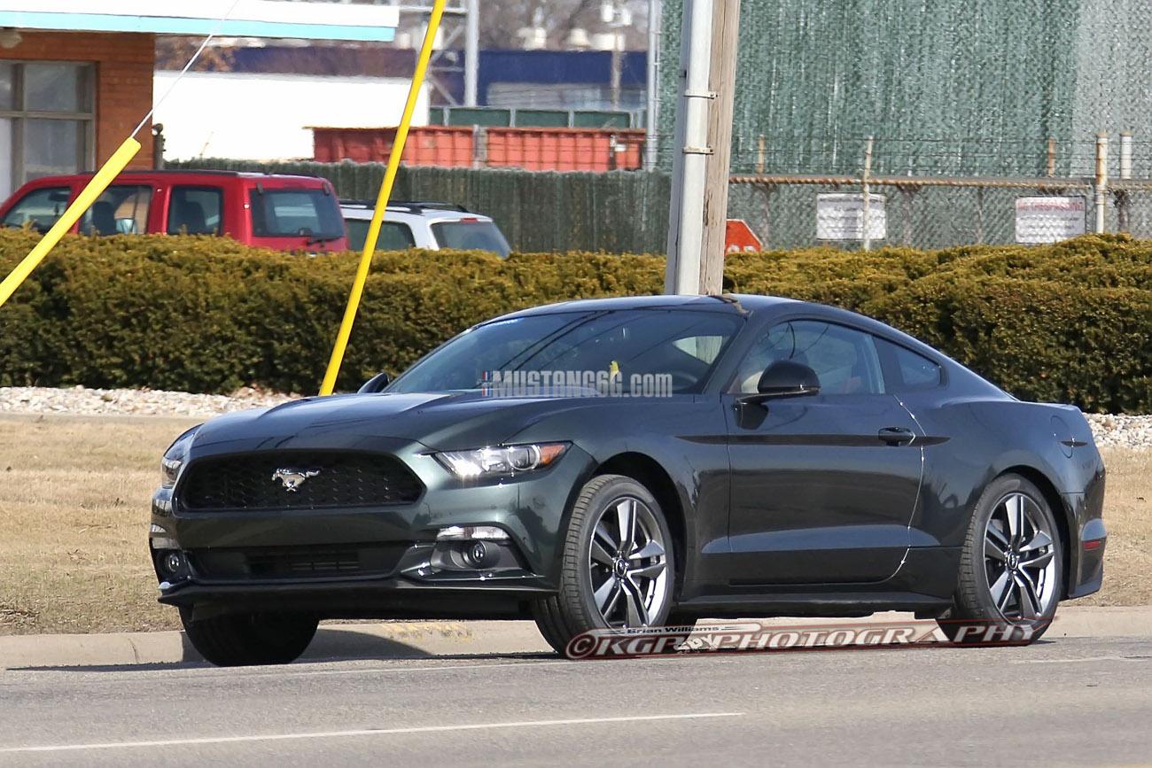 Stang.GuardGrn.b02.KGP.ed-3154741146-O.jpg