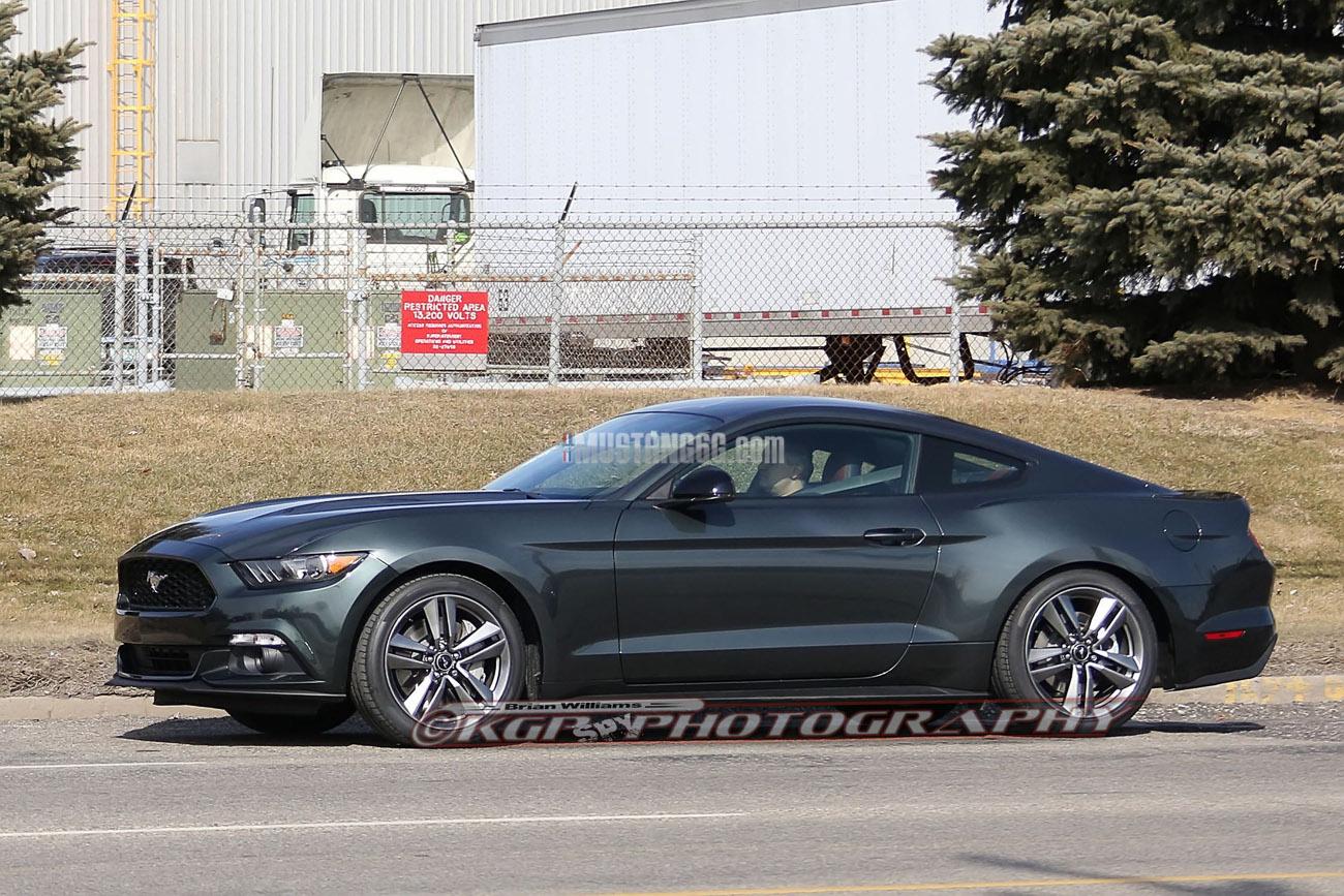 Stang.GuardGrn.b03.KGP.ed-3154741149-O.jpg