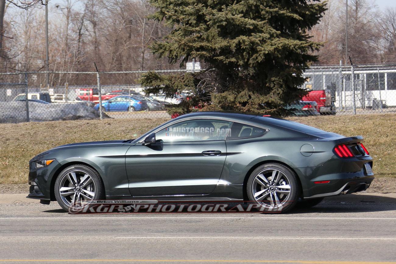 Stang.GuardGrn.b05.KGP.ed-3154741187-O.jpg