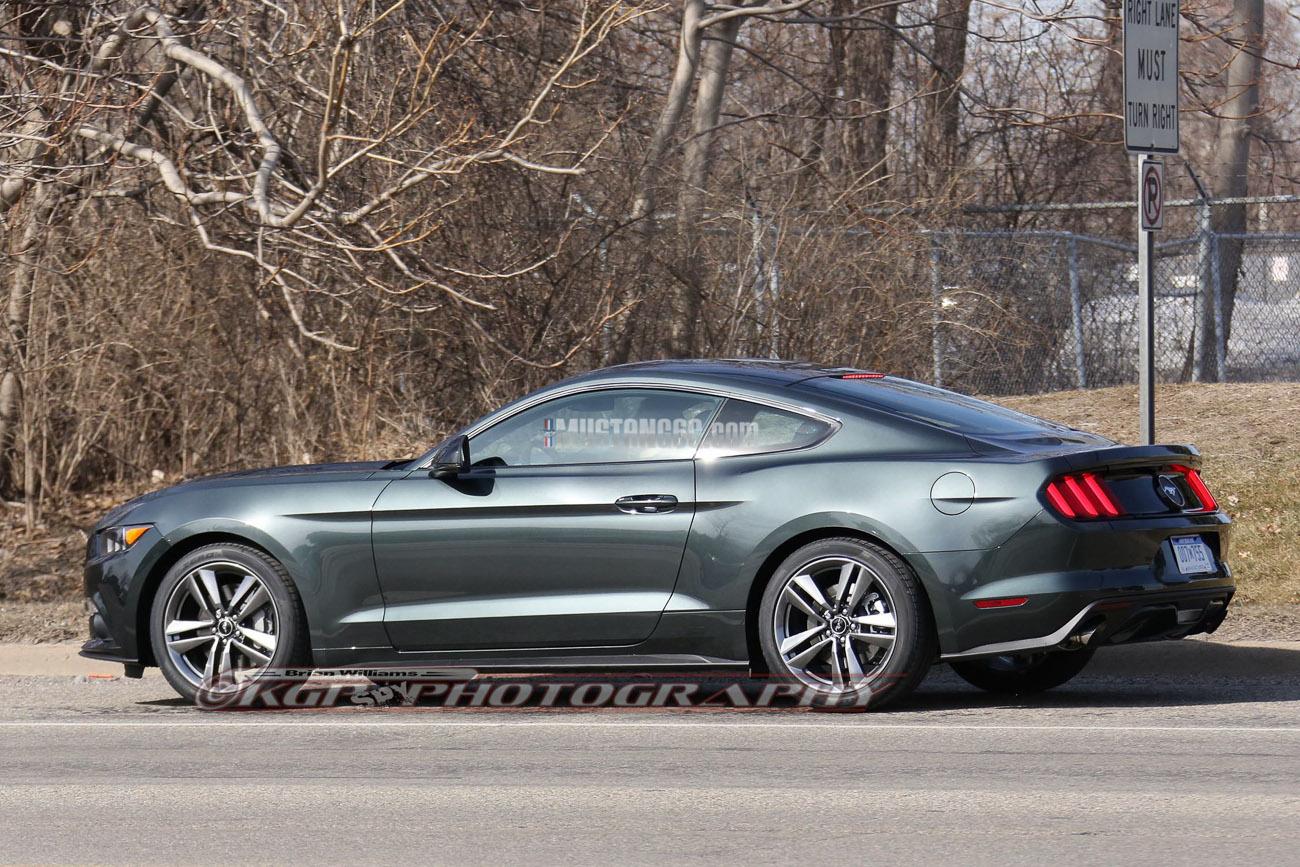 Stang.GuardGrn.b06.KGP.ed-3154741195-O.jpg