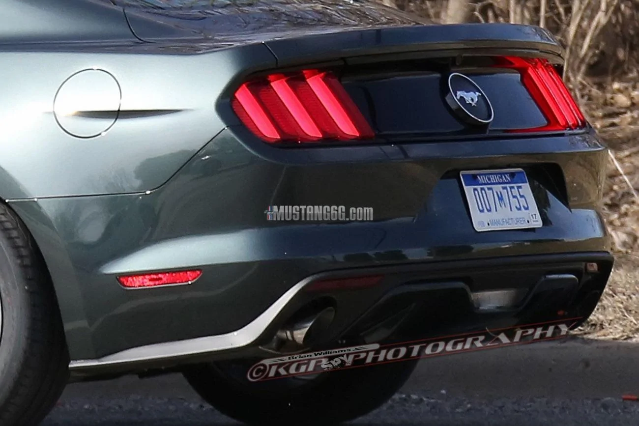 Stang.GuardGrn.b07.KGP.ed-3154741203-O.webp