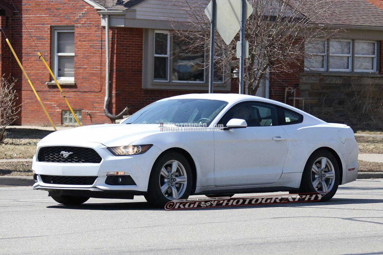 Stang.OxfordWhite.b01.KGP.ed-3154742914-O.jpg