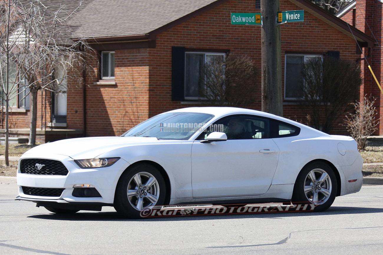 Stang.OxfordWhite.b02.KGP.ed-3154742924-O.jpg