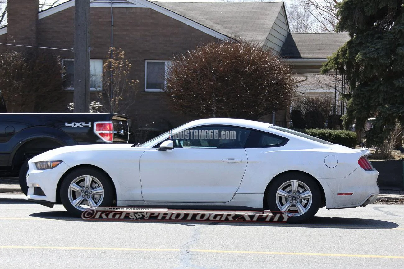 Stang.OxfordWhite.b03.KGP.ed-3154742922-O.webp