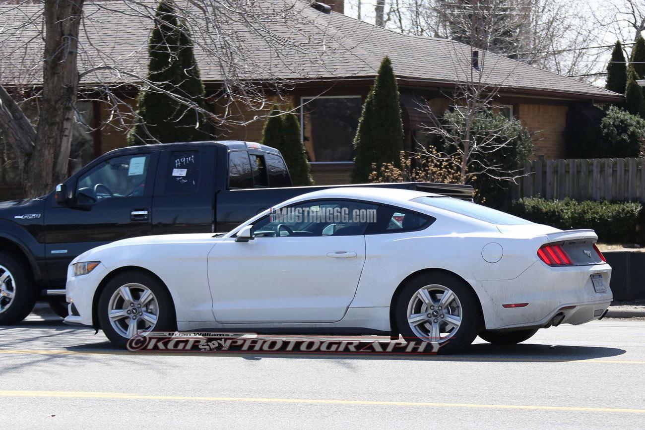 Stang.OxfordWhite.b04.KGP.ed-3154742952-O.jpg