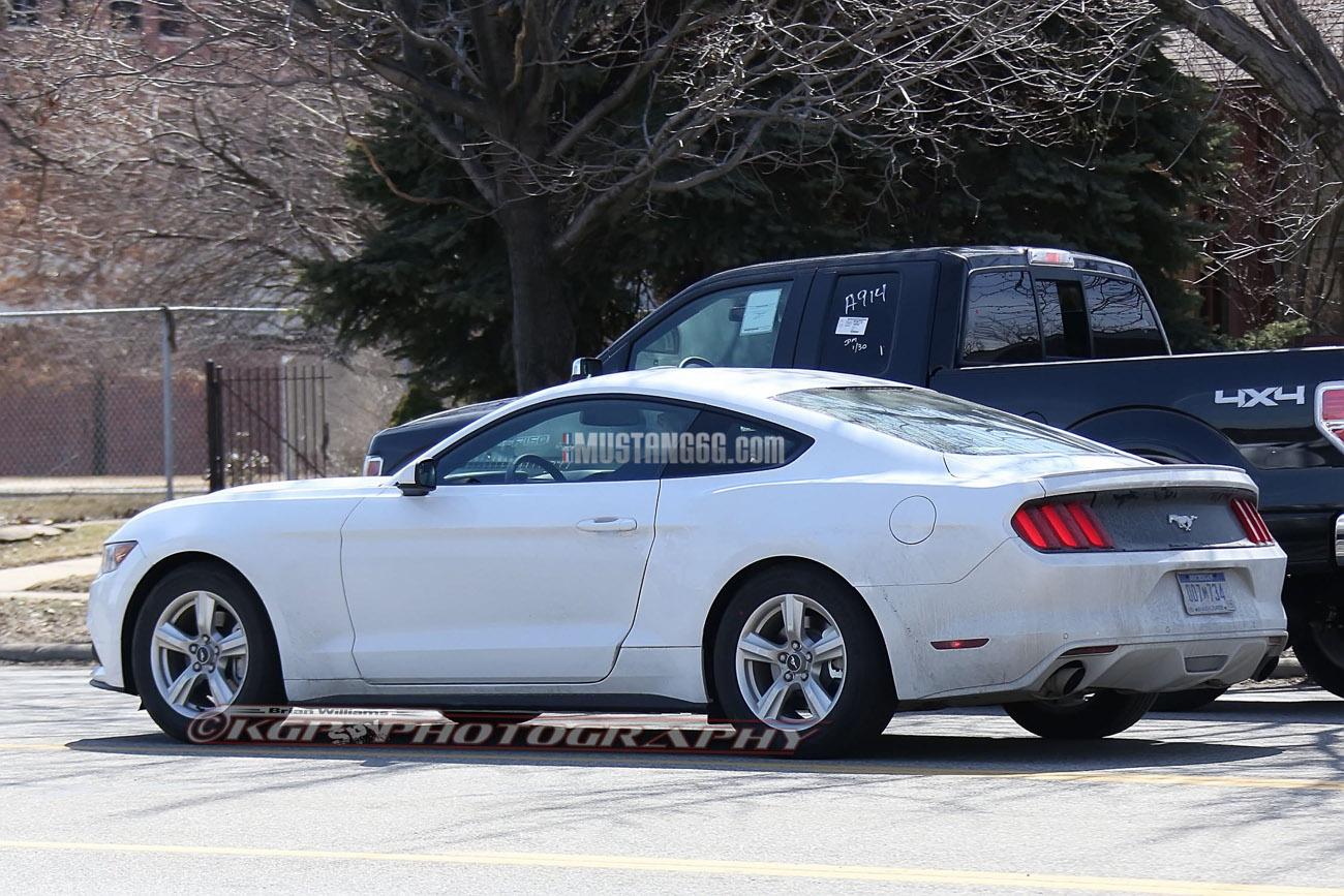 Stang.OxfordWhite.b05.KGP.ed-3154742997-O.jpg