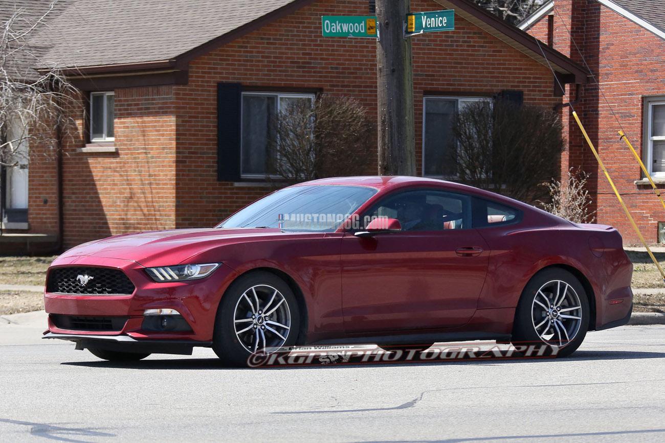 Stang.RubyRed.b02.KGP.ed-3154742355-O.jpg