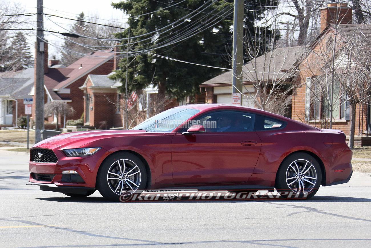 Stang.RubyRed.b03.KGP.ed-3154742358-O.jpg