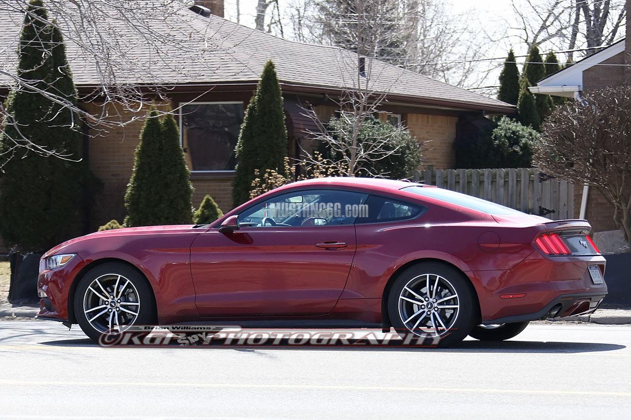 Stang.RubyRed.b05.KGP.ed-3154742409-O.jpg