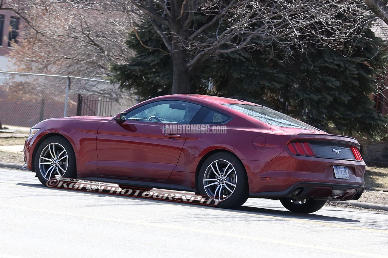 Stang.RubyRed.b06.KGP.ed-3154742416-O.jpg