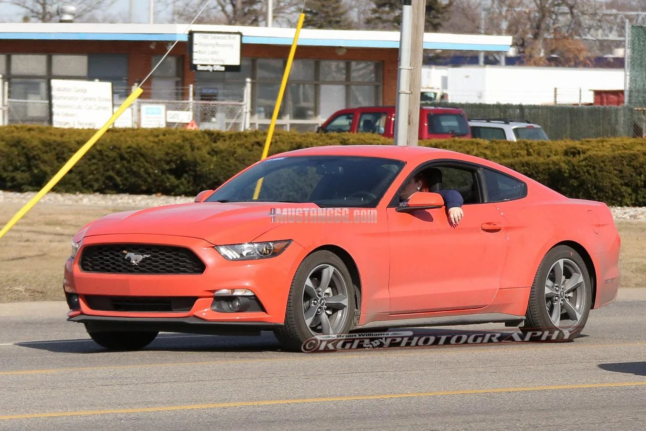 Stang.orange1.b01.KGP.ed-3154741392-O.webp