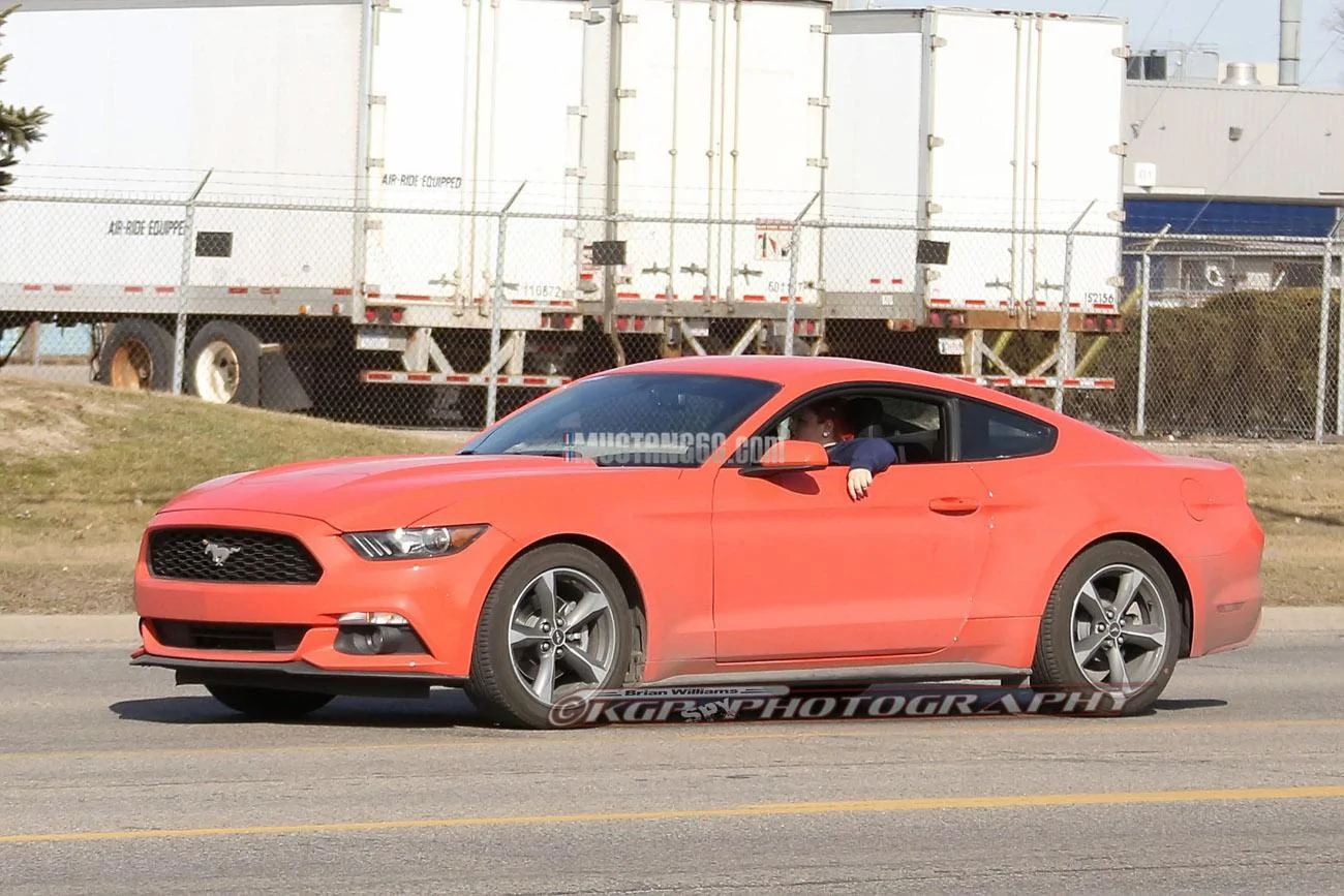 Stang.orange1.b02.KGP.ed-3154741384-O.webp
