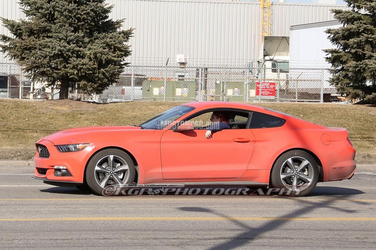 Stang.orange1.b03.KGP.ed-3154741396-O.jpg