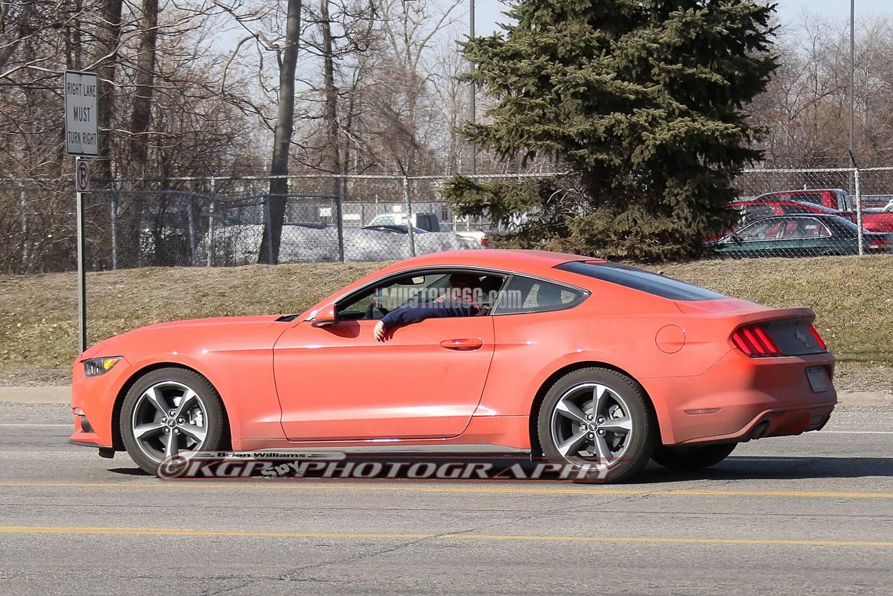 Stang.orange1.b04.KGP.ed-3154741423-O.jpg