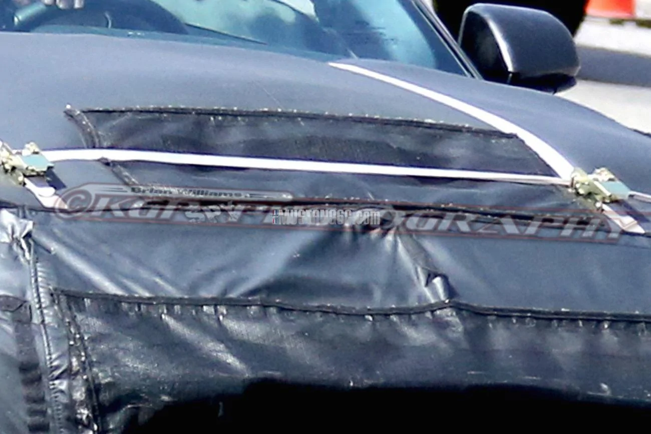 Stang.GT500.v3.KGP.ed-3155031772-O.webp