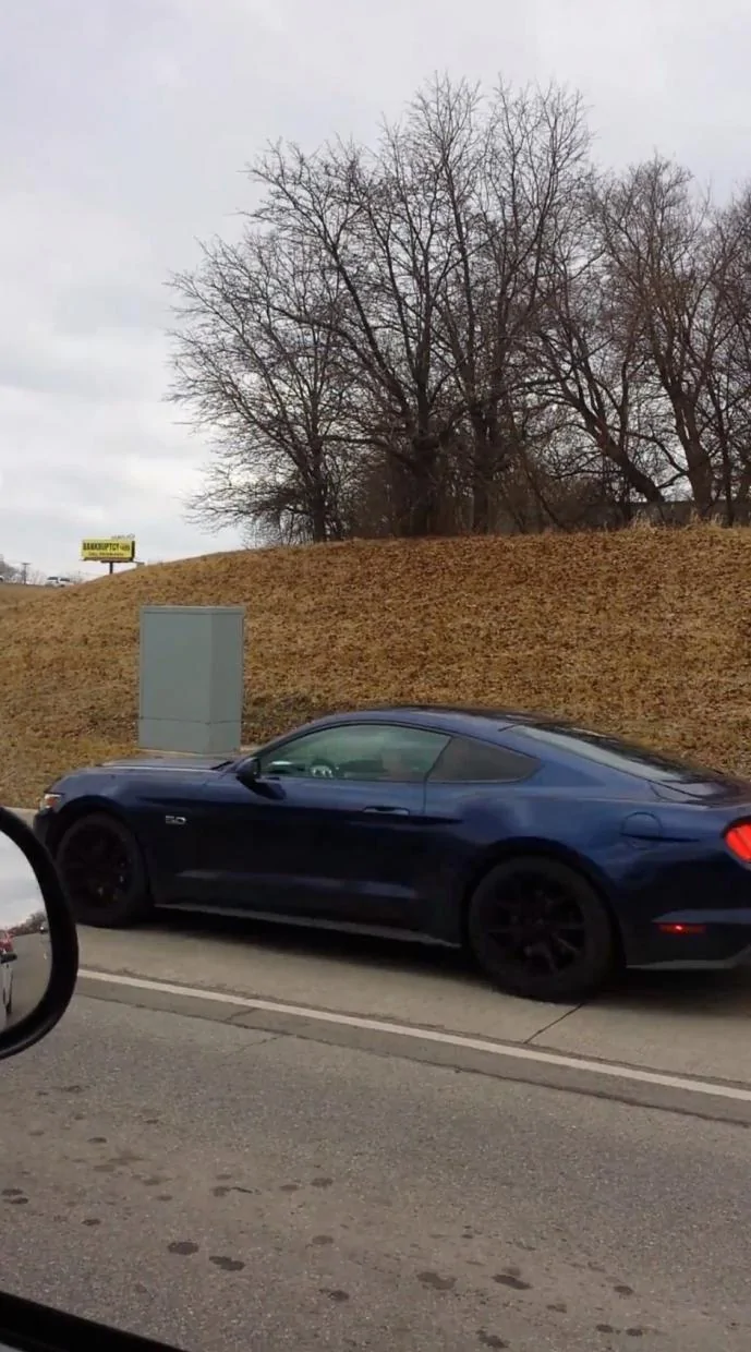 blue stang.webp