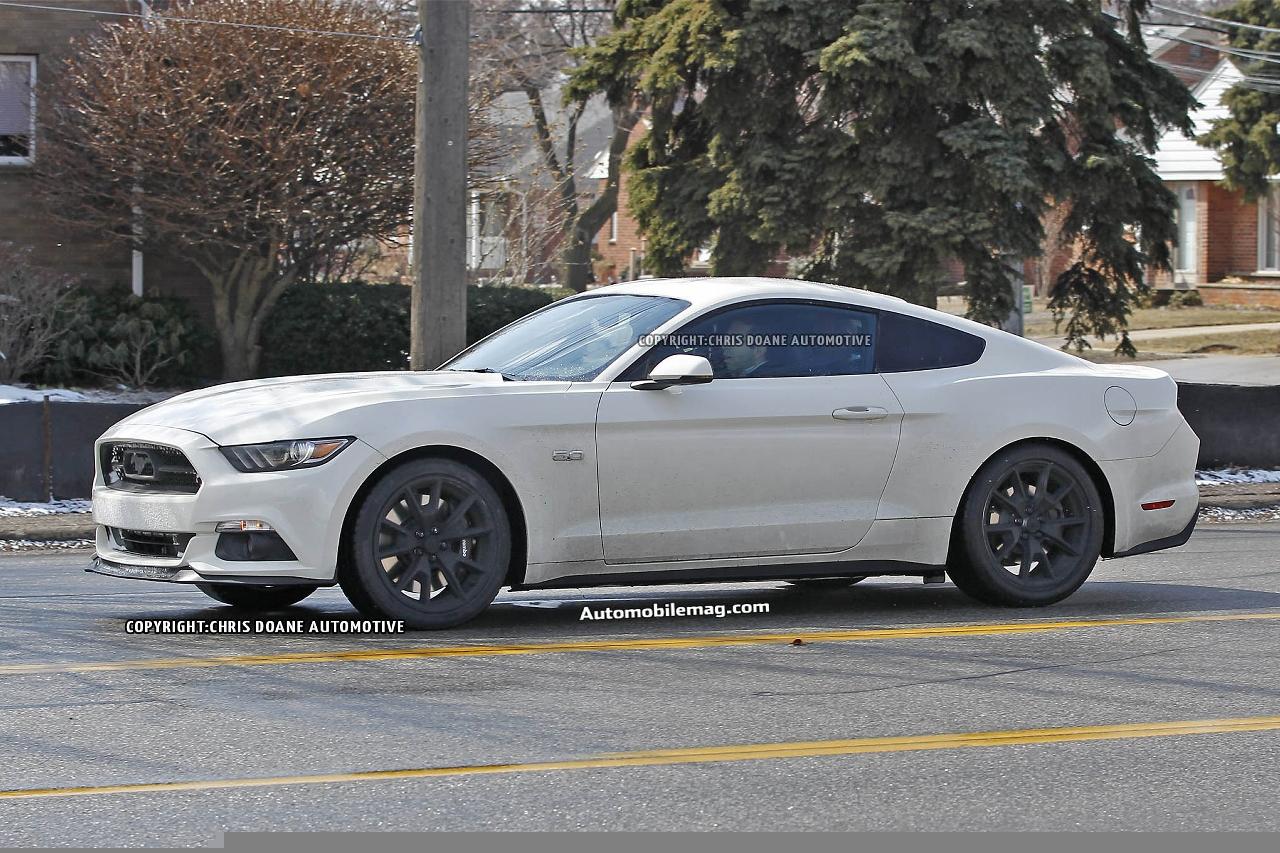 2015-ford-mustang-50th-anniversary-spied-19-side.jpg