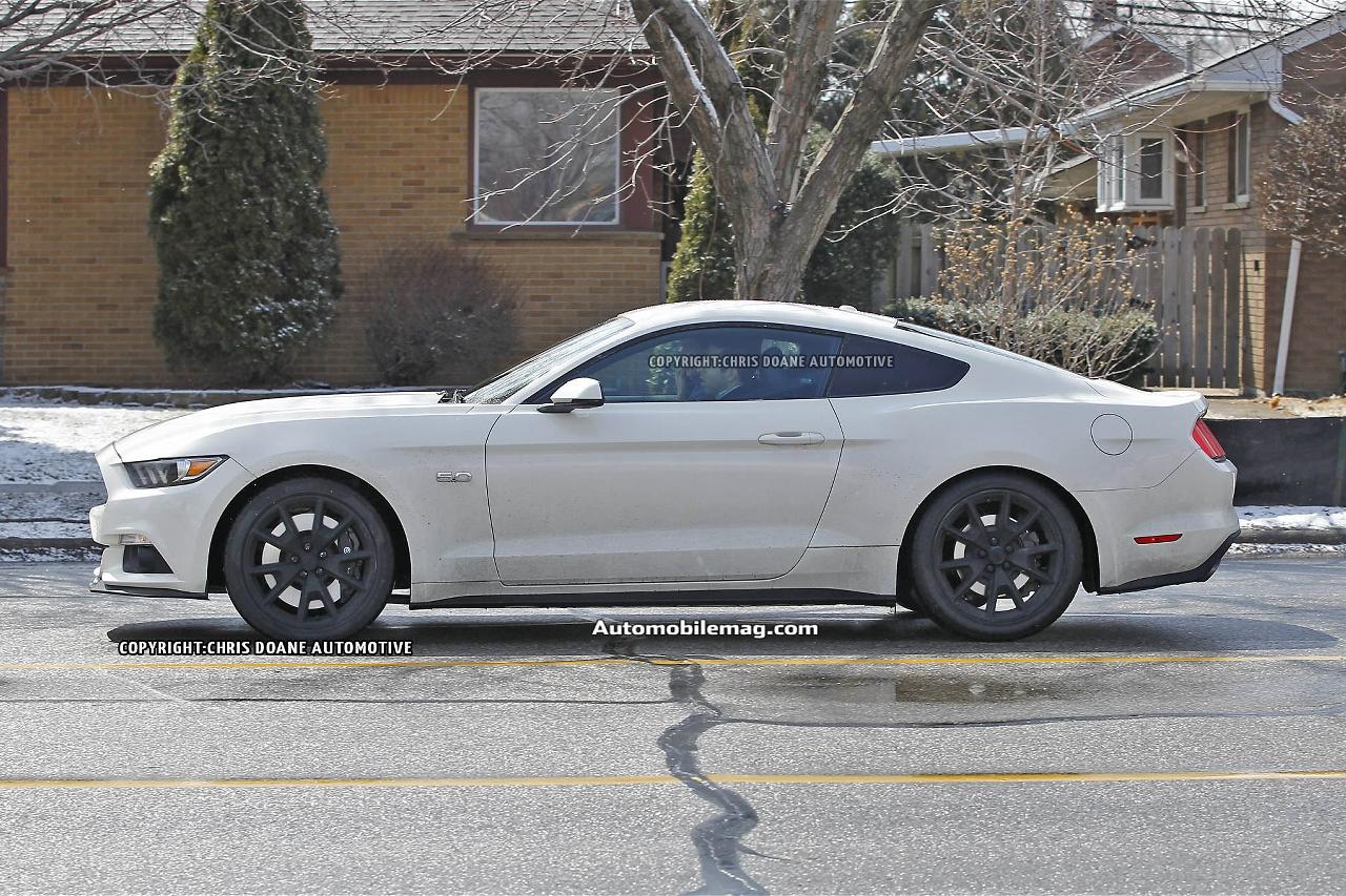 2015-ford-mustang-50th-anniversary-spied-20-side.jpg