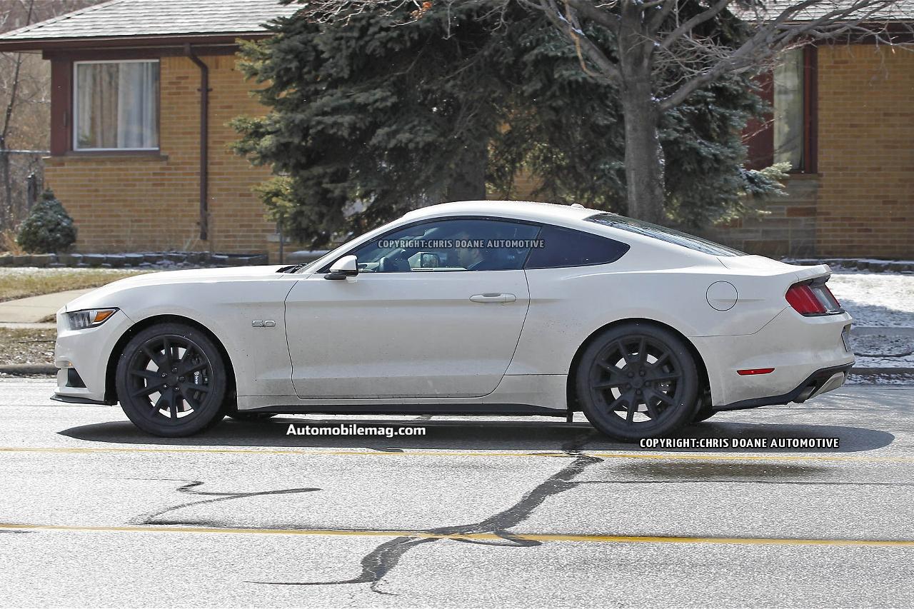 2015-ford-mustang-50th-anniversary-spied-21-side.jpg