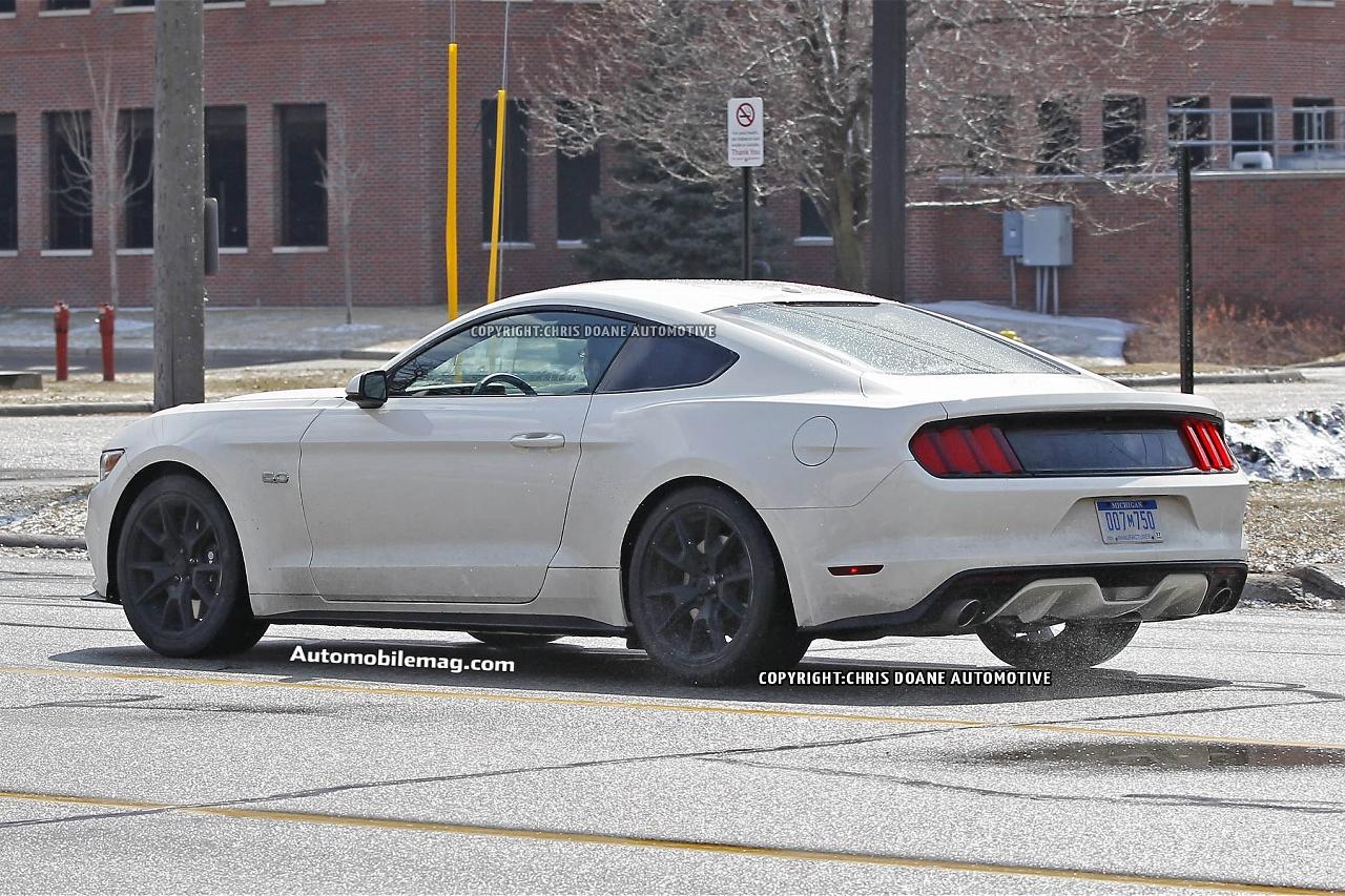 2015-ford-mustang-50th-anniversary-spied-22-rear-three-quarter-in-motion.jpg