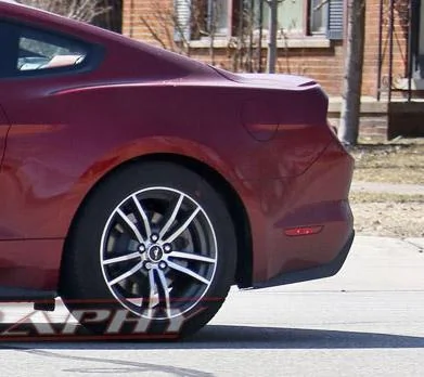 Stang_RubyRed_b03_KGP_ed-3154742358-O.webp