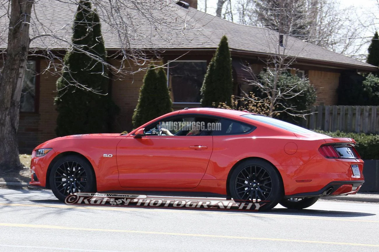 Stang.CompOrange.b04.KGP.ed-3154741740-O.webp