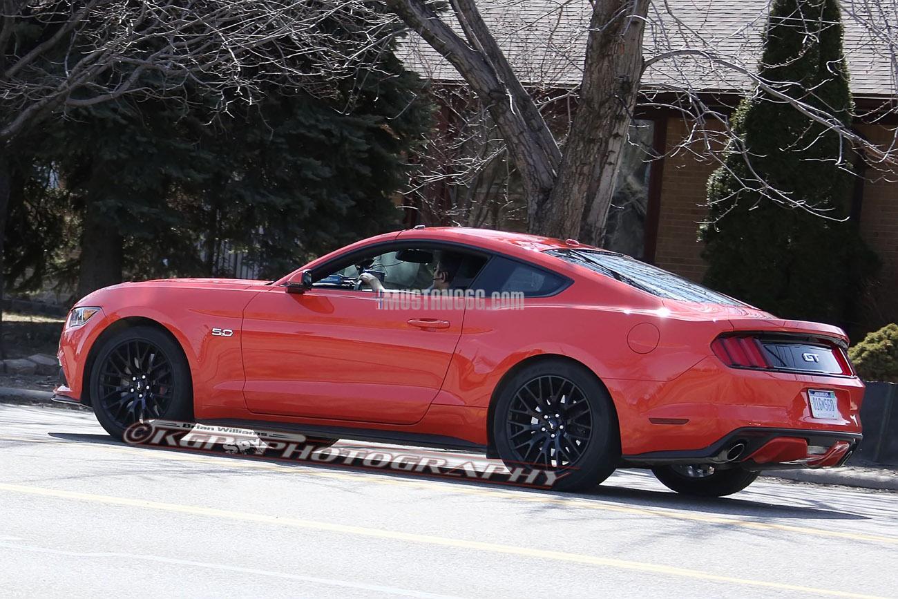 Stang.CompOrange.b05.KGP.ed-3154741727-O.jpg