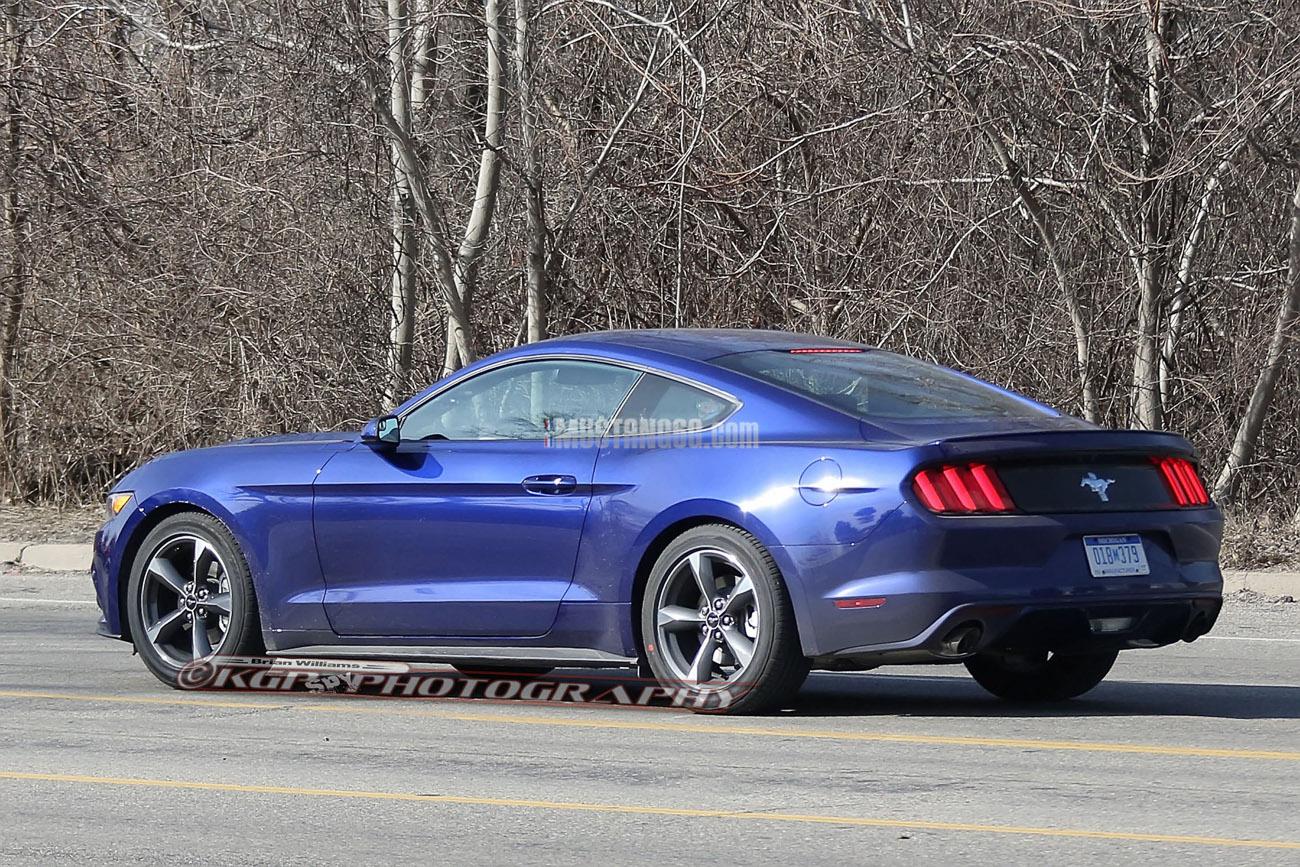 Stang.DpImpactBlue.b04.KGP.ed-3154743185-O.jpg