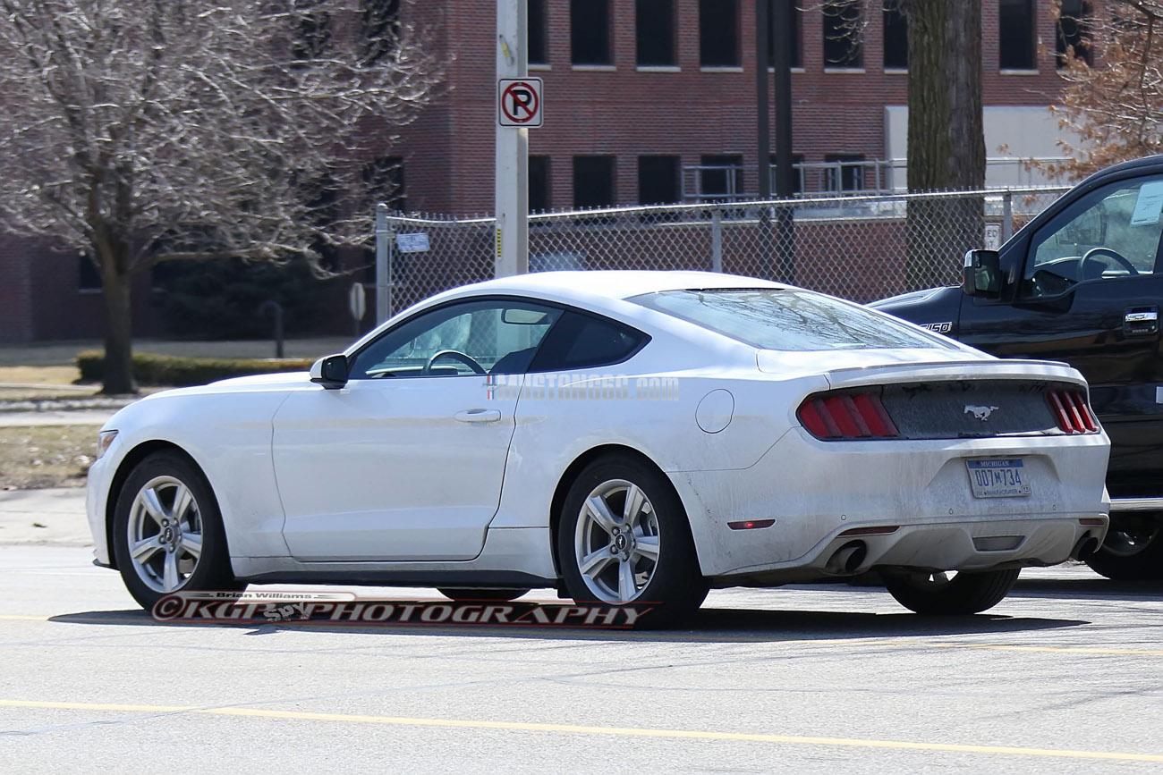 Stang.OxfordWhite.b06.KGP.ed-3154742995-O.jpg