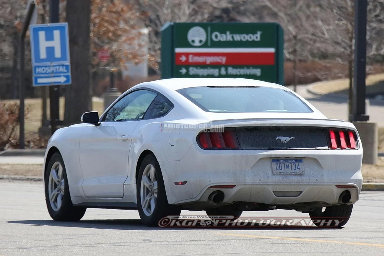 Stang.OxfordWhite.b07.KGP.ed-3154742993-O.webp