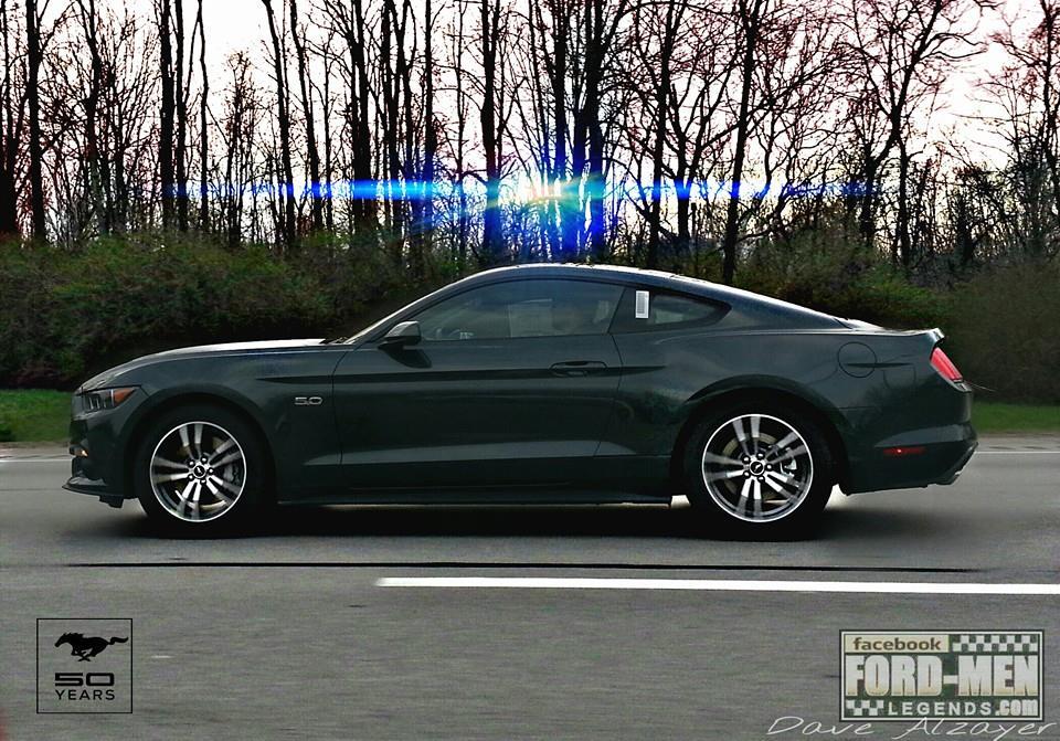 2015 Mustang Guard-1.jpg