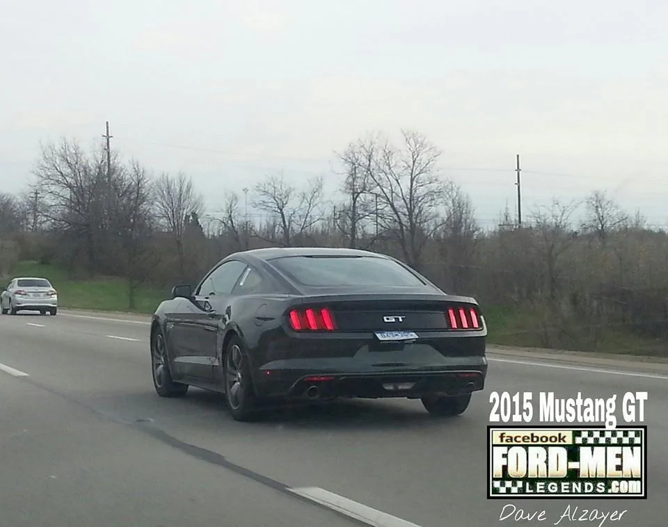 2015 Mustang Guard 2.webp