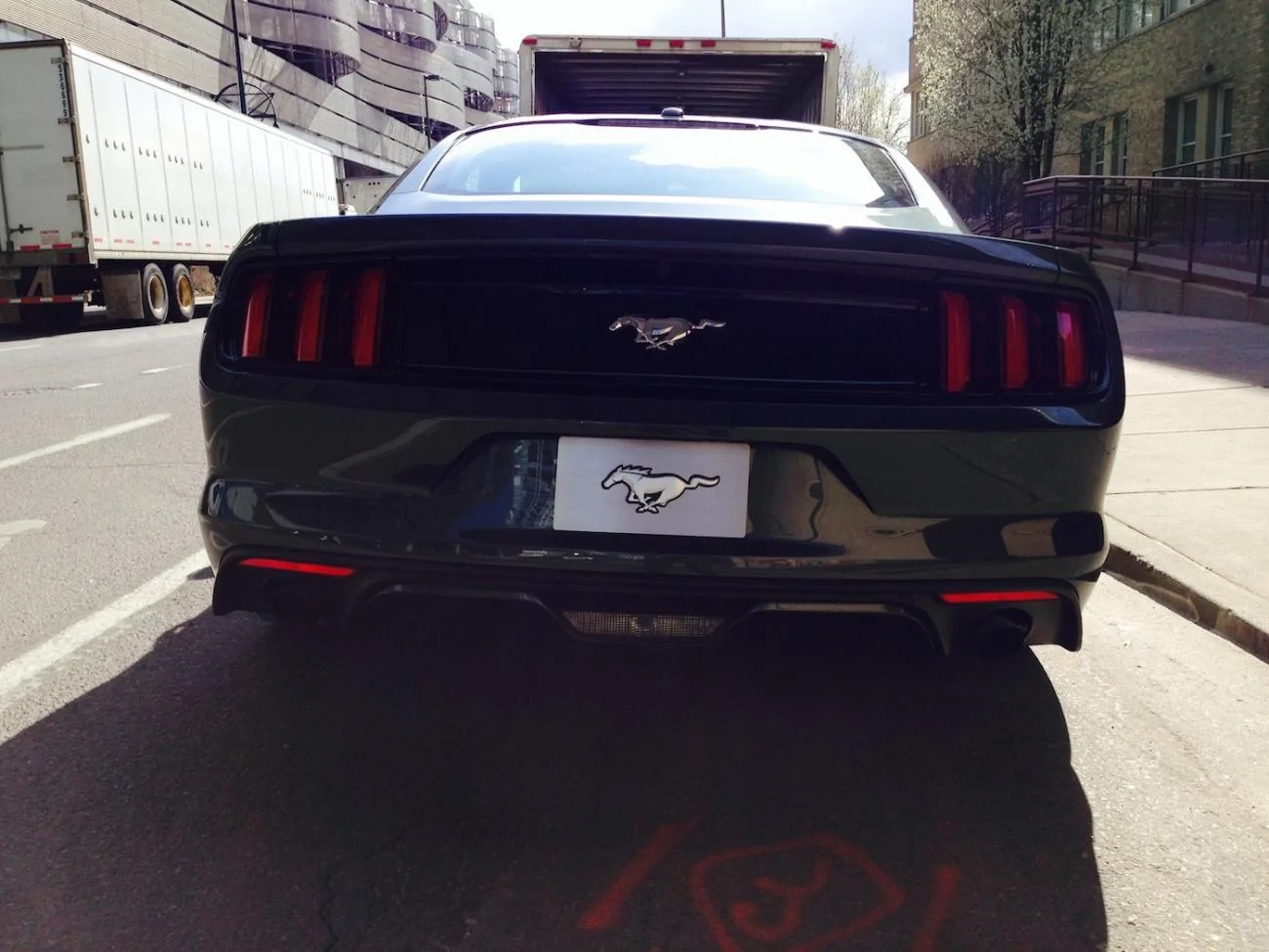 Guard Mustang3.webp