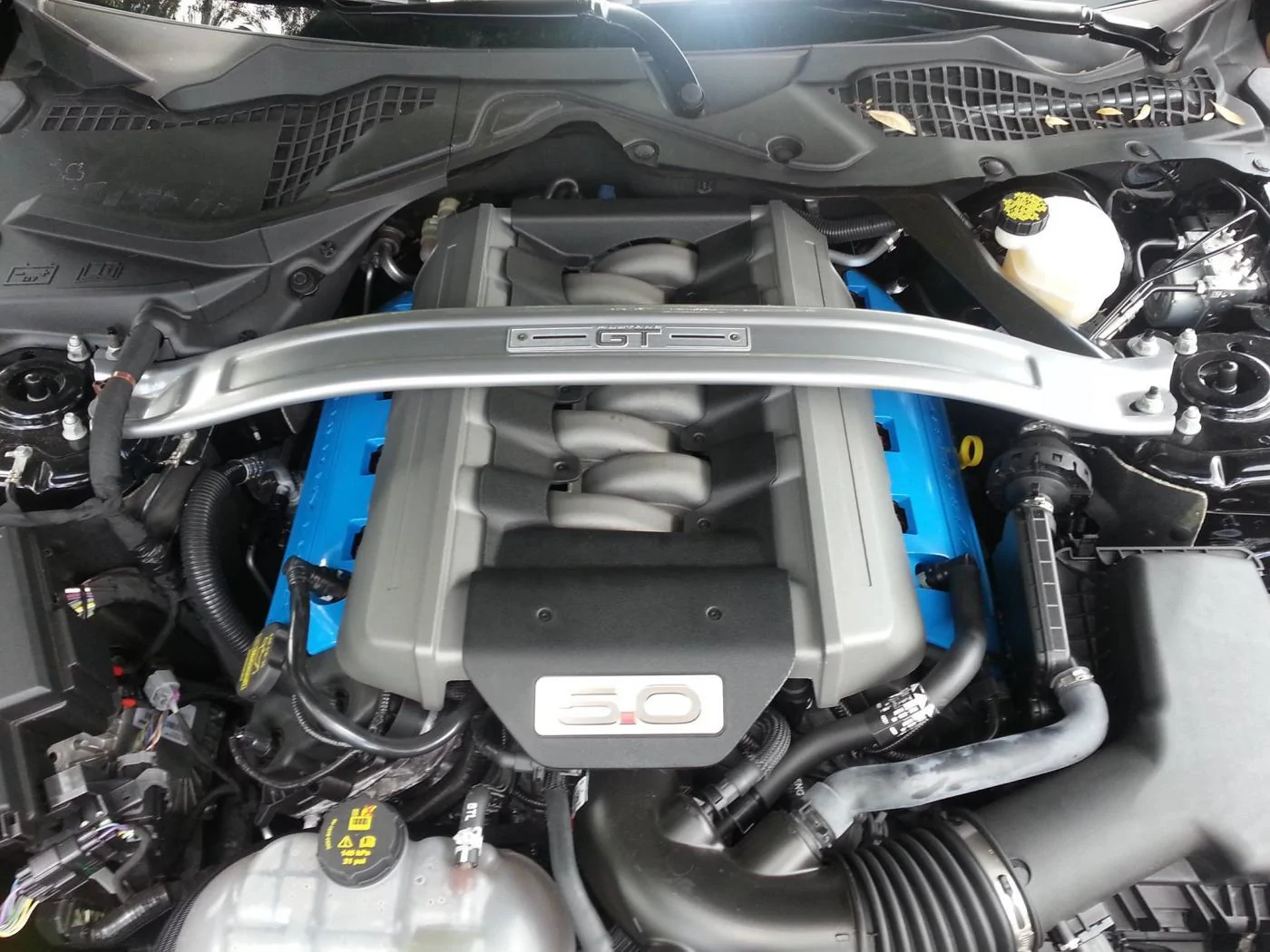 engine.webp