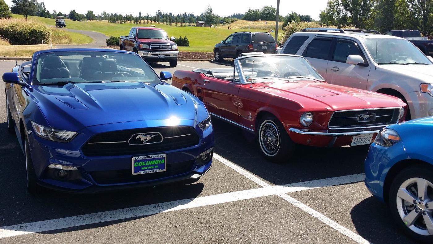 Mustangs Front Med.jpg