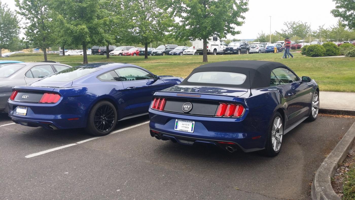 20150624_120859_reduced.jpg