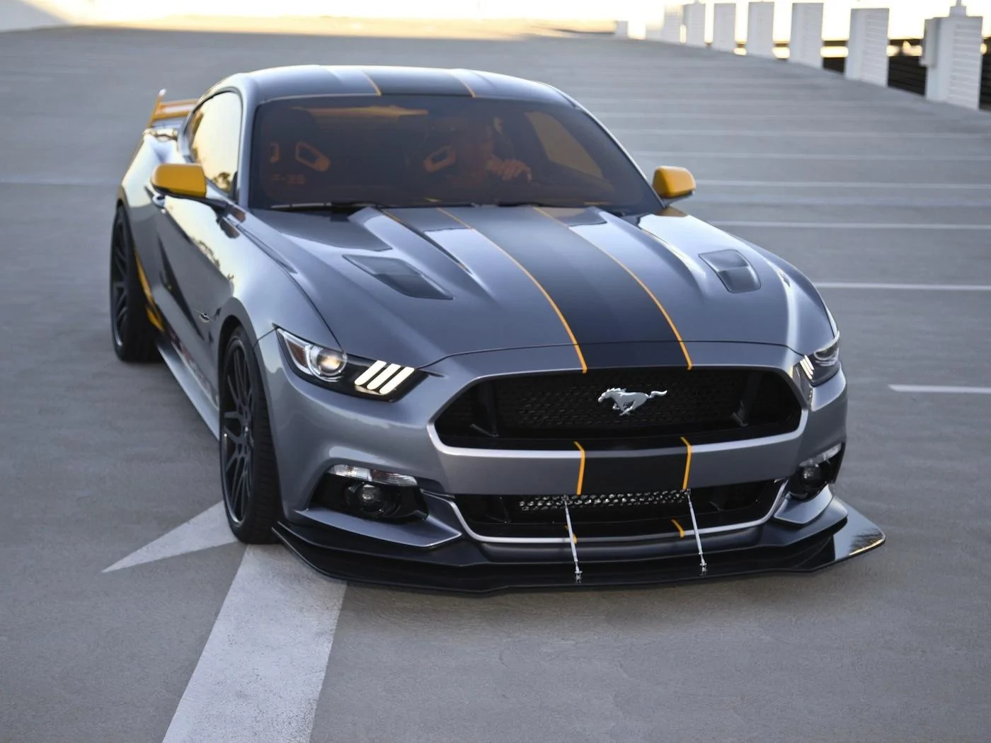 MUSTANG.webp