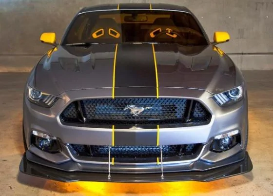 MUSTANG 2.webp