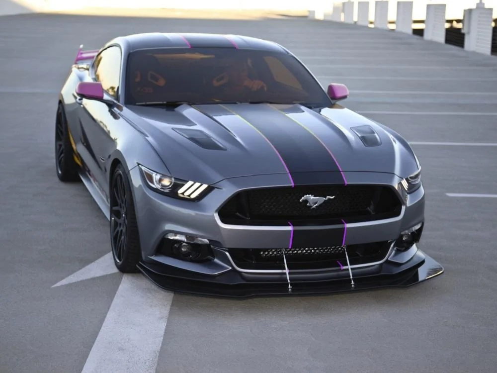 MUSTANG.webp