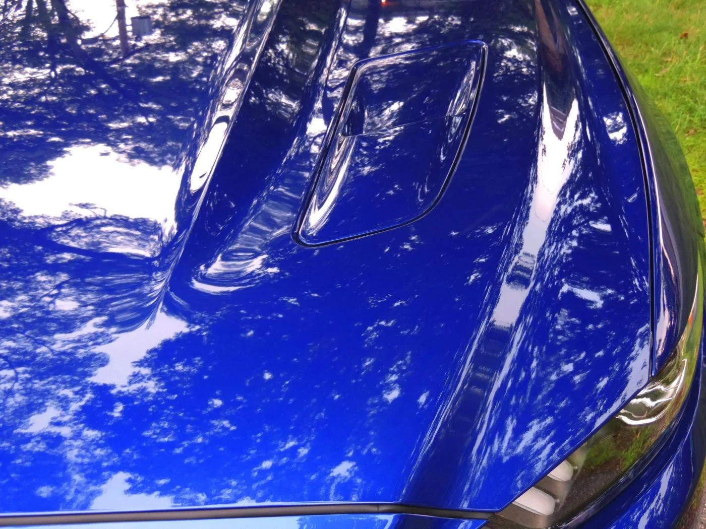 DSCN2676.webp