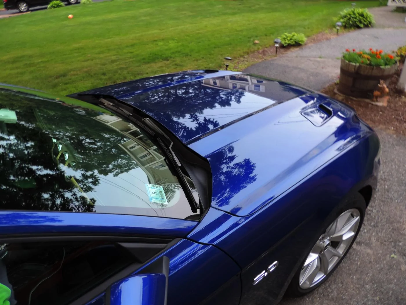 DSCN2685.webp