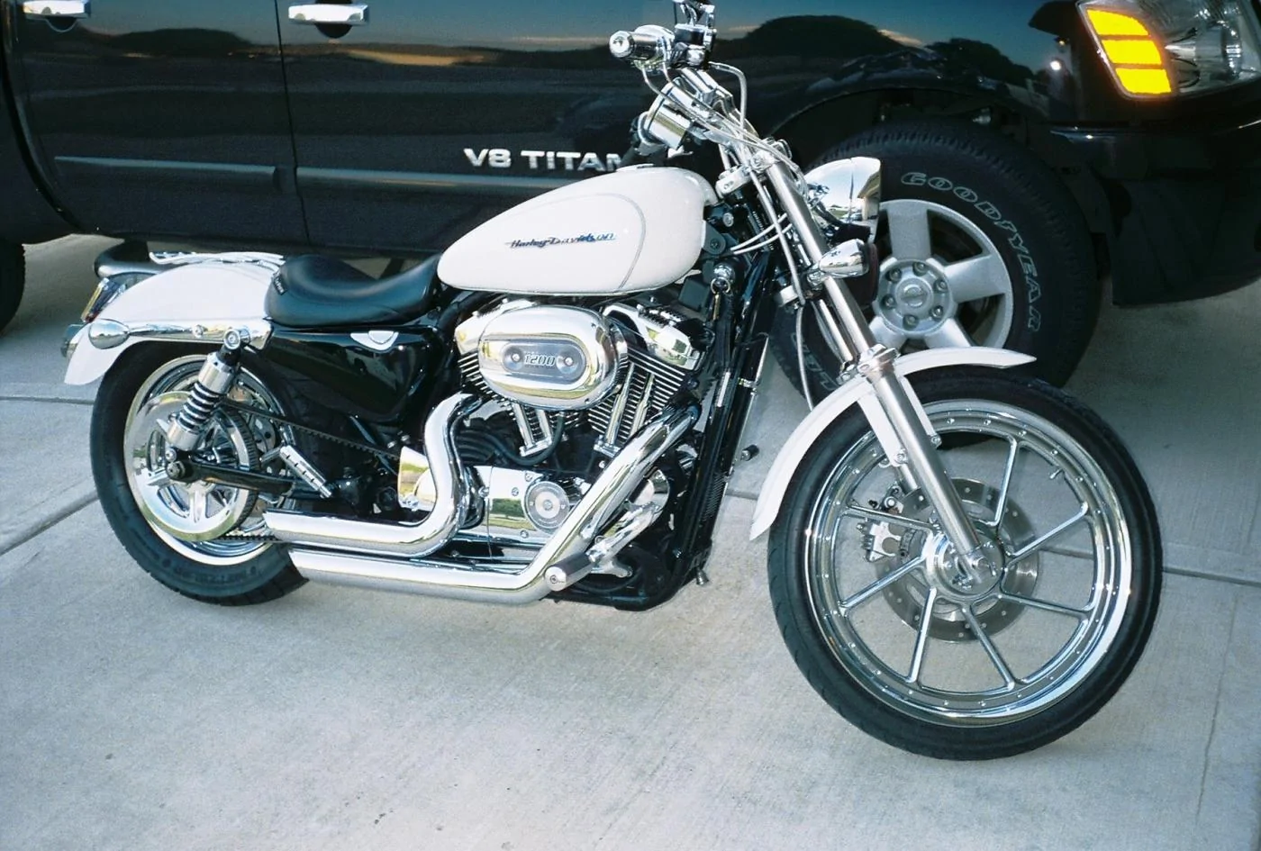 Pearl.webp