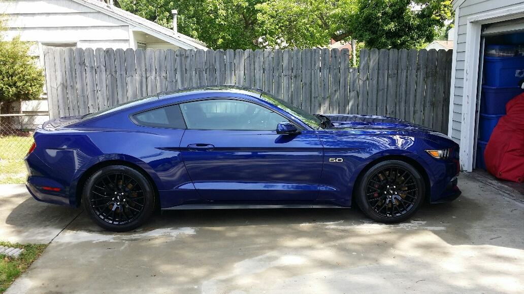cleaned and ready.jpg