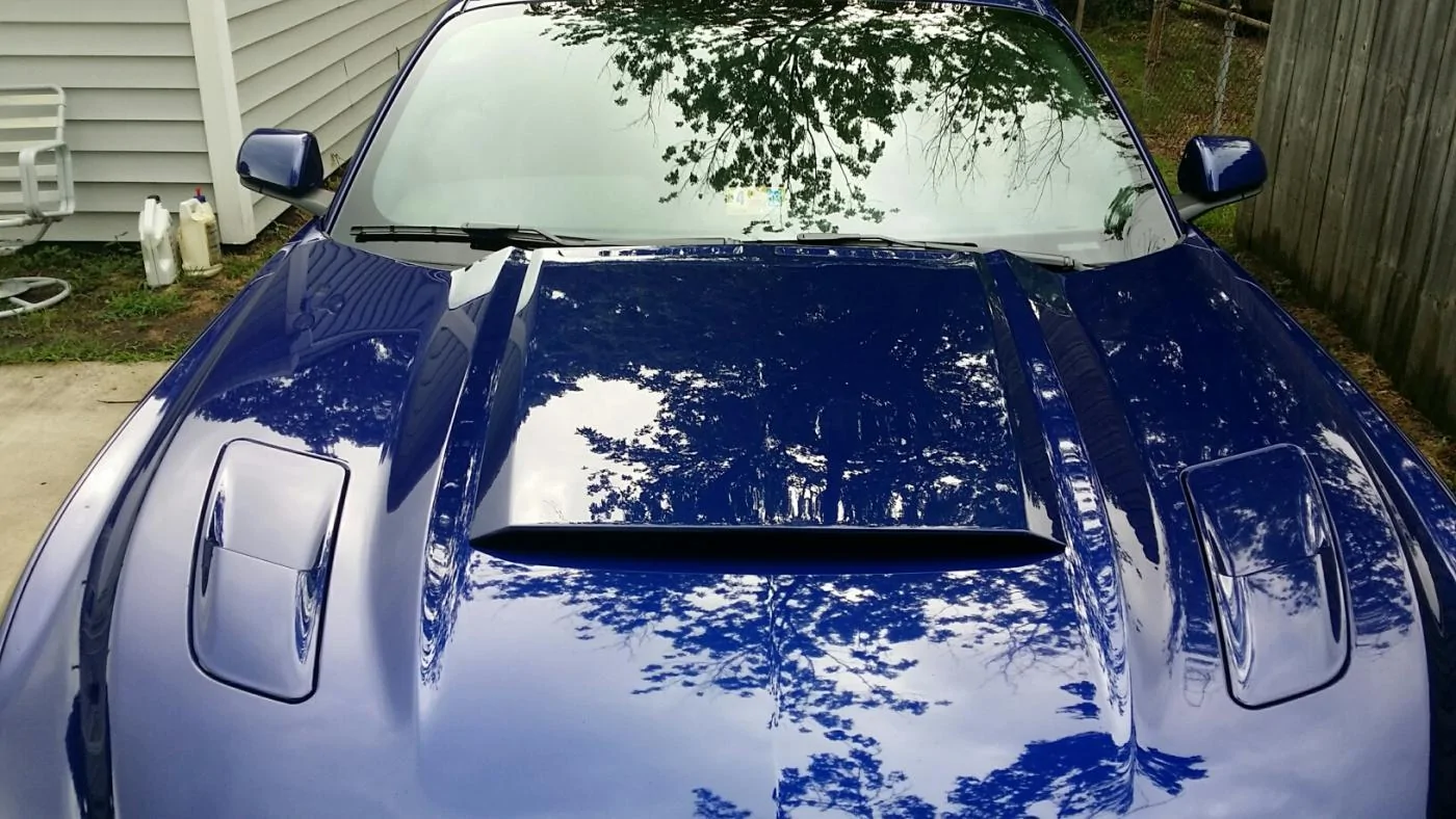 hoods front.webp