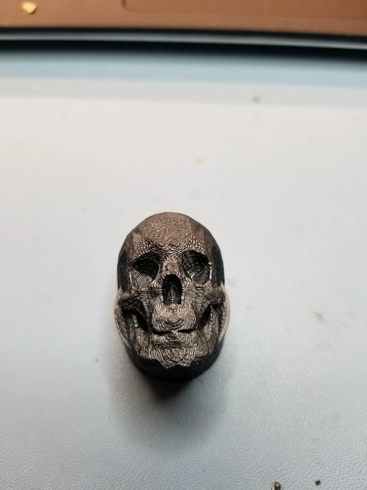 skull2.webp