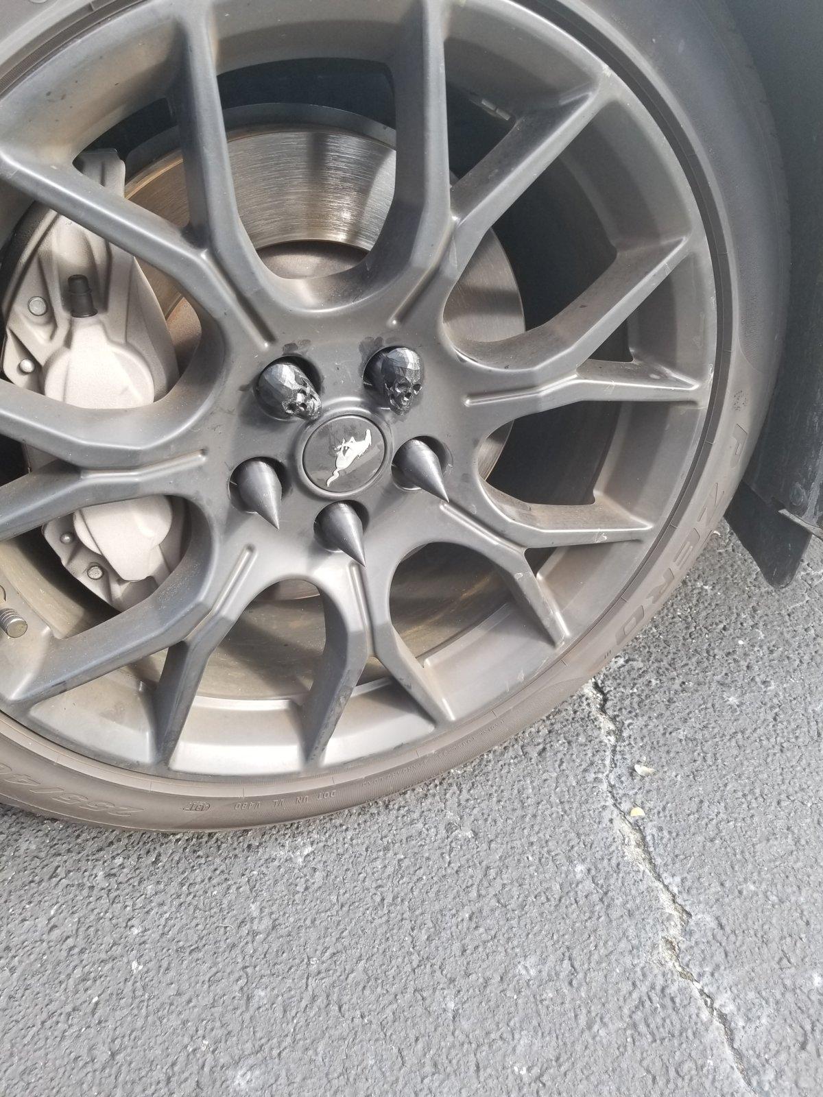 skull on car1.jpg