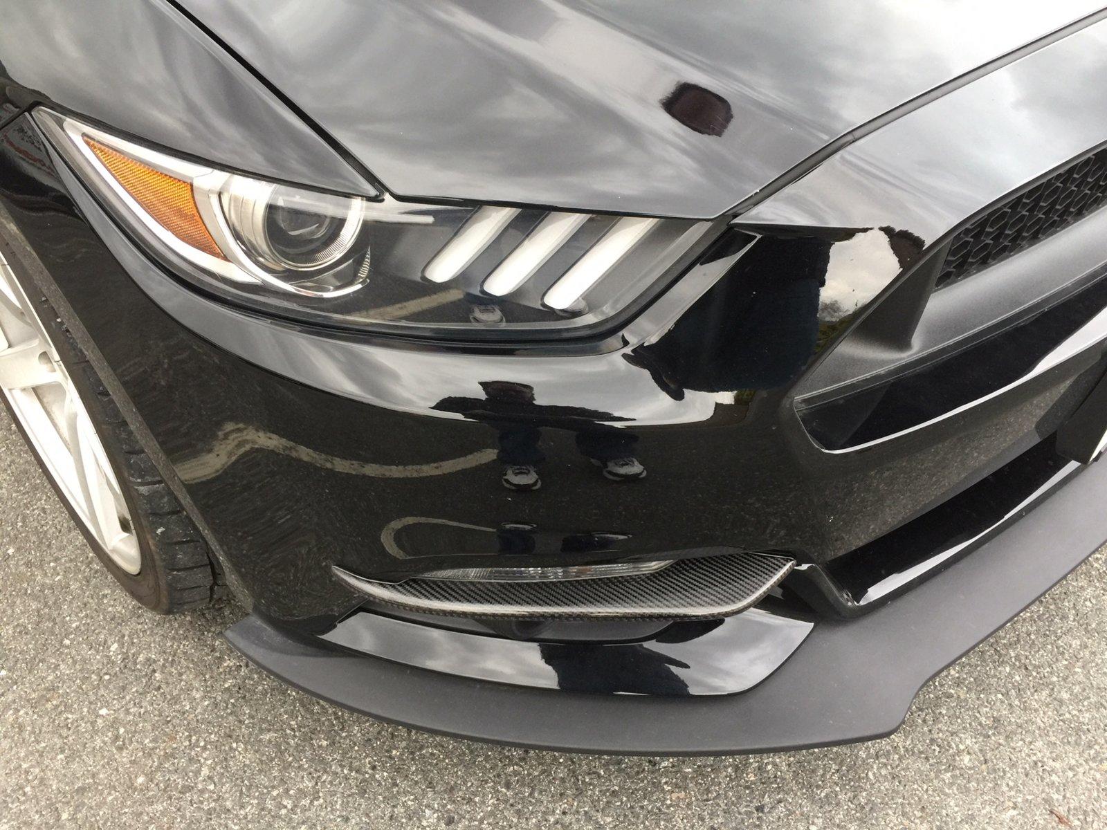 Mustang6.jpg