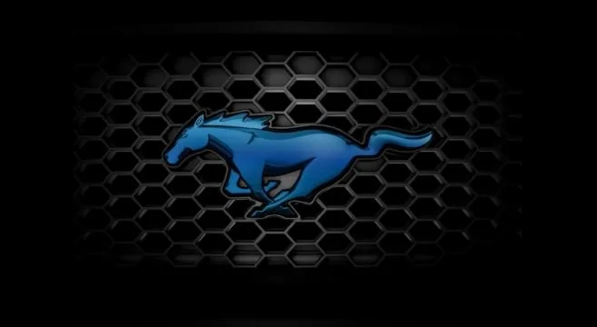 grill-1603-657x360.webp